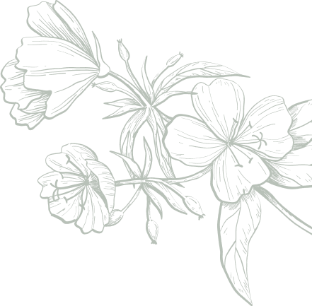 Line art illustration of sage green flowering branches and leaves
